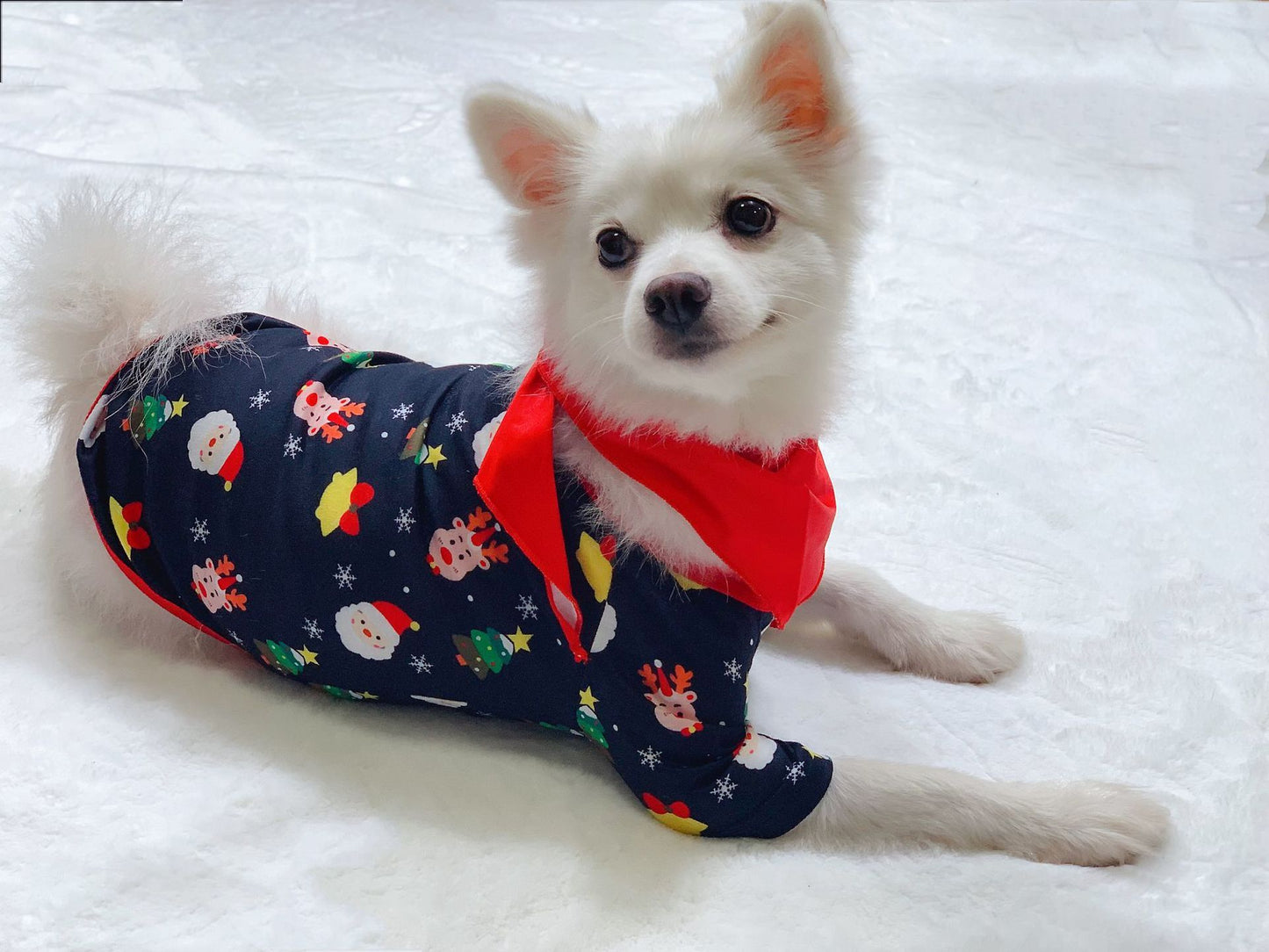 Merrix—Family Matching Christmas Pajamas