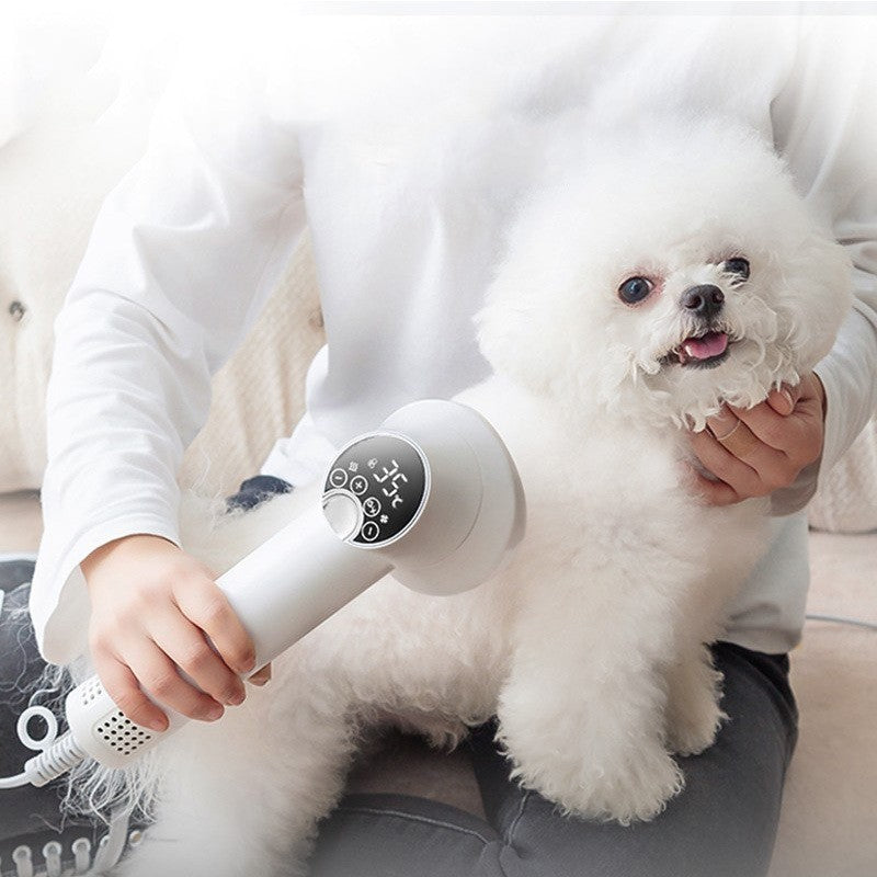 FurBliss—2-in-1 Smart Hair Dryer & Comb