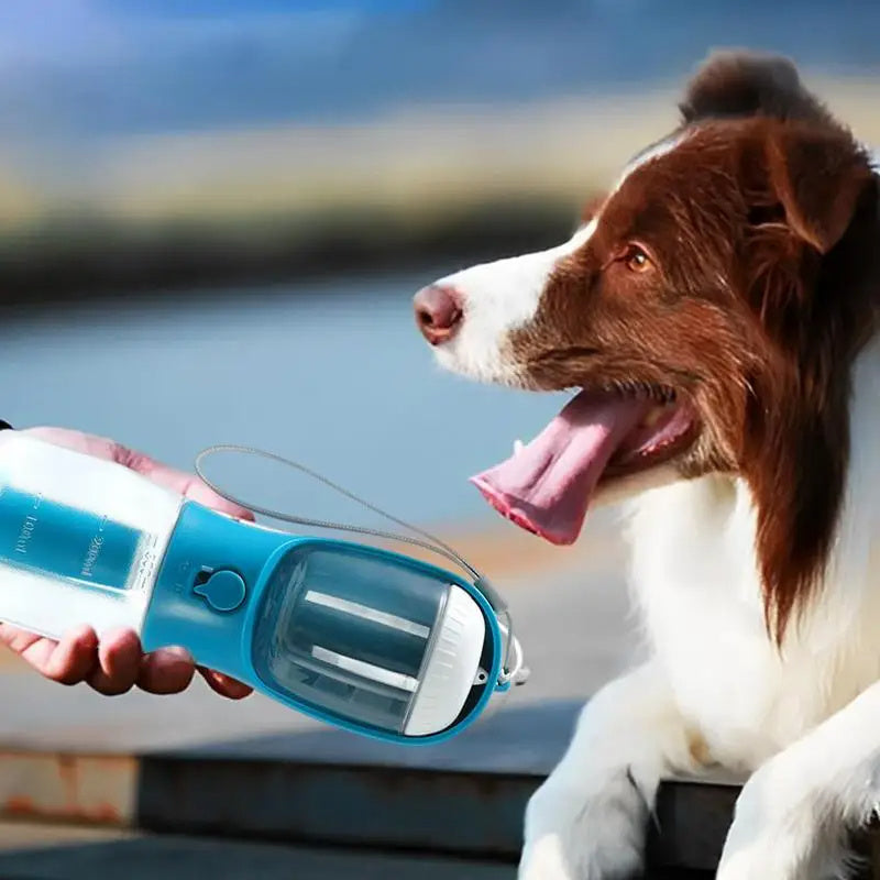 HydraPaw—3-in-1 Portable Dog Feeder