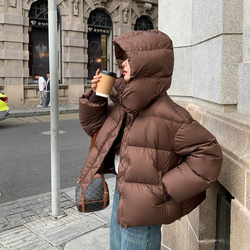 Korean Luxe Oversized Puffer Jacket