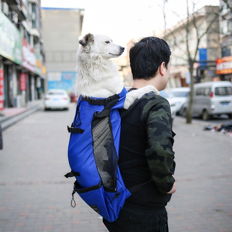 FurHaven—Double Shoulder Dog Backpack
