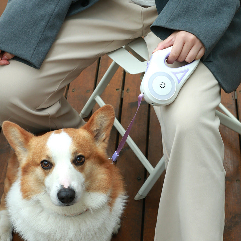 LumiPaw—LED Retractable Dog Leash