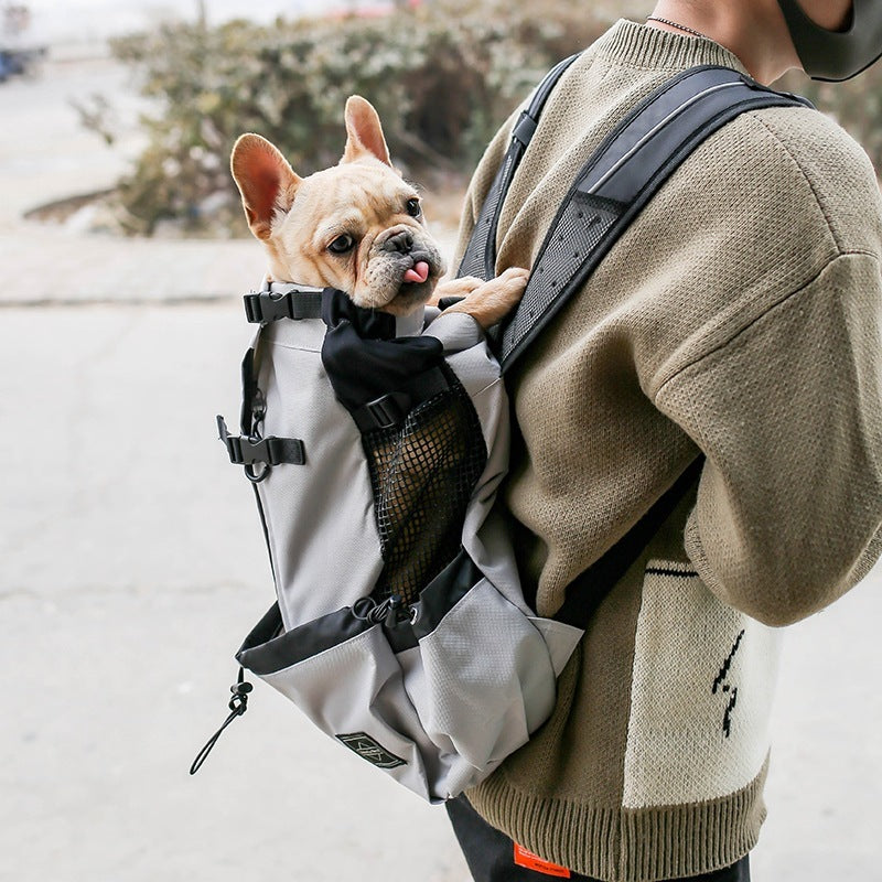FurHaven—Double Shoulder Dog Backpack