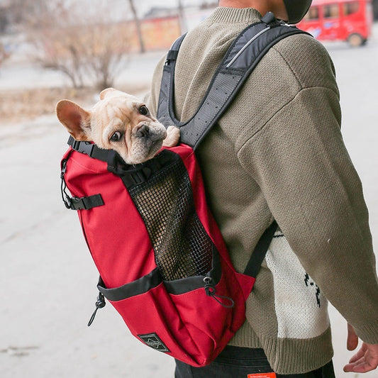 FurHaven—Double Shoulder Dog Backpack