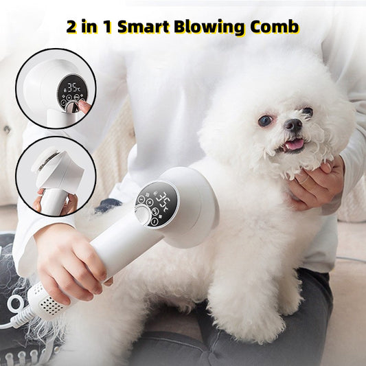 FurBliss—2-in-1 Smart Hair Dryer & Comb